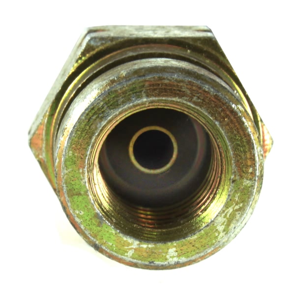 Centric Rear Brake Hose 150.45309