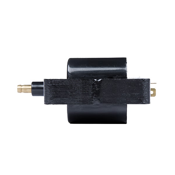 Delphi Ignition Coil GN10359