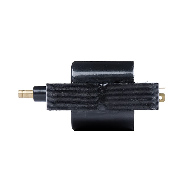 Delphi Ignition Coil GN10359