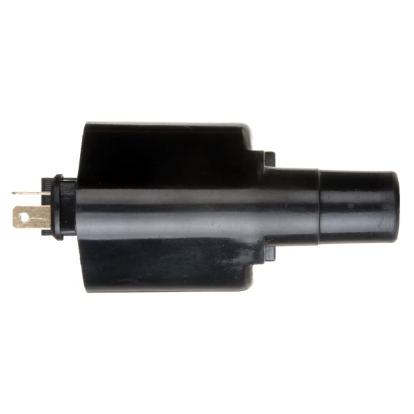 Delphi Ignition Coil GN10291