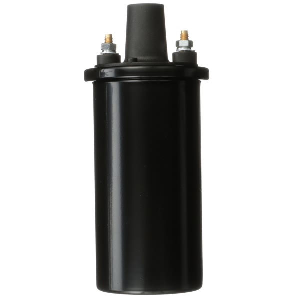 Delphi Ignition Coil GN10854