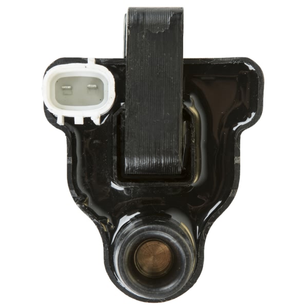 Delphi Ignition Coil GN10391