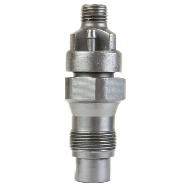 Delphi Fuel Injector 6704001