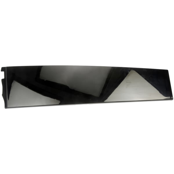 Dorman OE Solutions Rear Passenger Side Door Applique 926-248