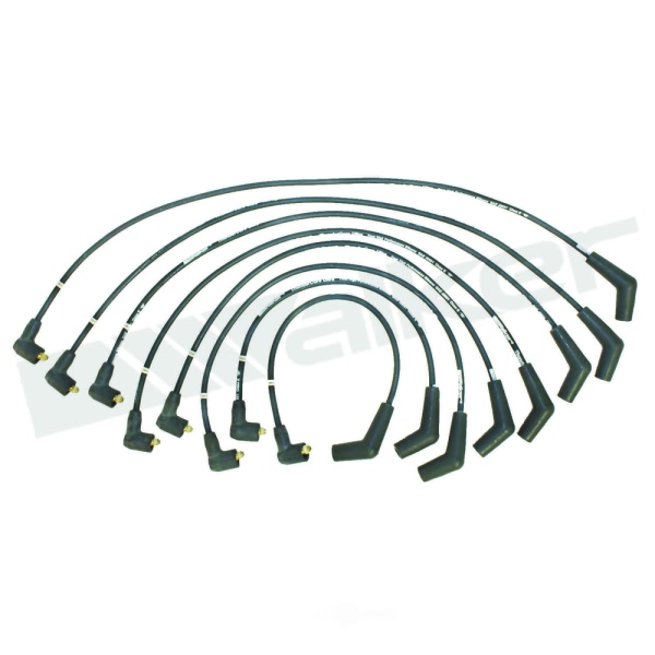Walker Products Spark Plug Wire Set 924-2042