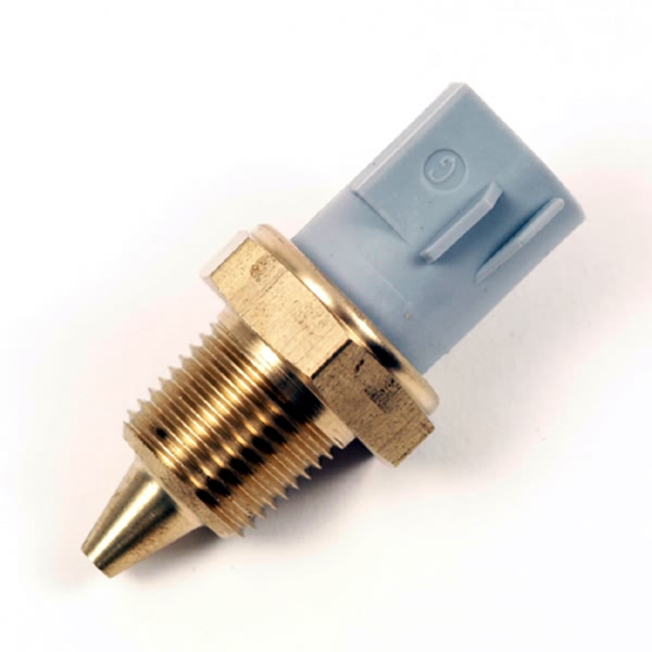 Delphi Coolant Temperature Sensor TS10001