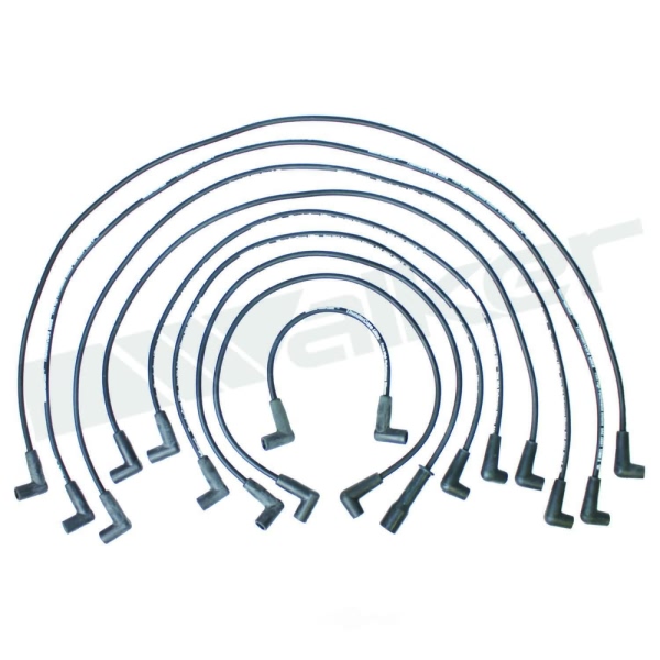 Walker Products Spark Plug Wire Set 924-1424