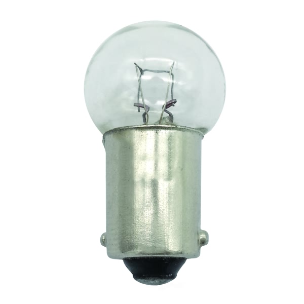 Hella 1895 Standard Series Incandescent Miniature Light Bulb 1895