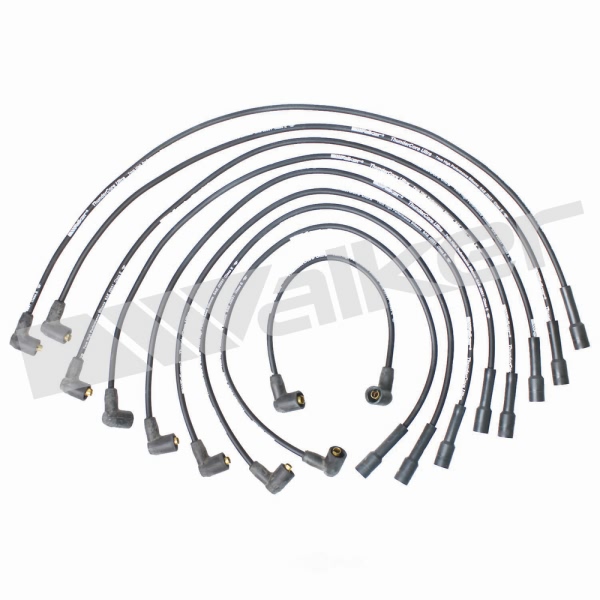 Walker Products Spark Plug Wire Set 924-1396