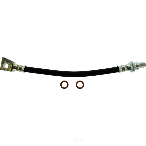 Centric Rear Passenger Side Lower Brake Hose 150.67353