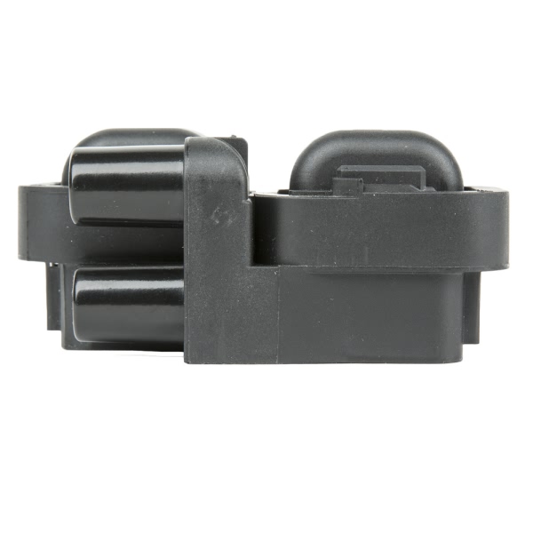 Delphi Ignition Coil GN10361