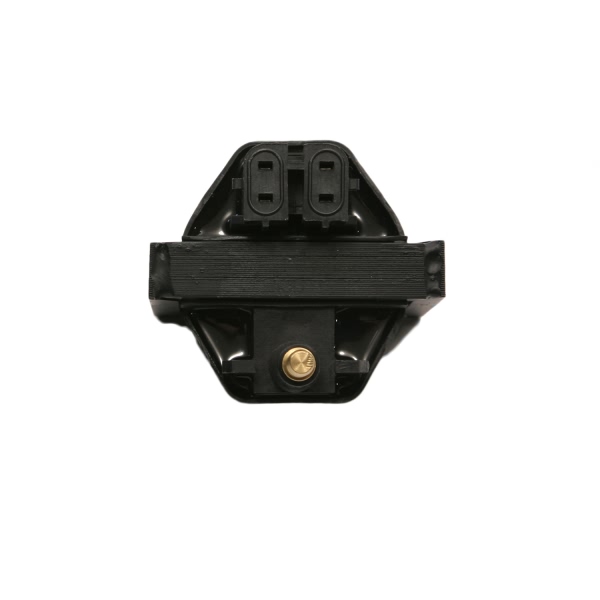 Delphi Ignition Coil GN10048