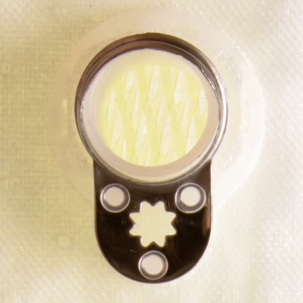 Delphi Fuel Pump Strainer FS0110
