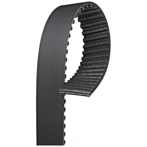 Gates Timing Belt T313