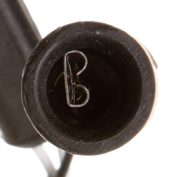 Delphi Oxygen Sensor ES10289