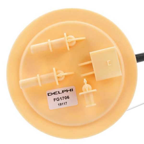 Delphi Fuel Pump Module Assembly FG1706