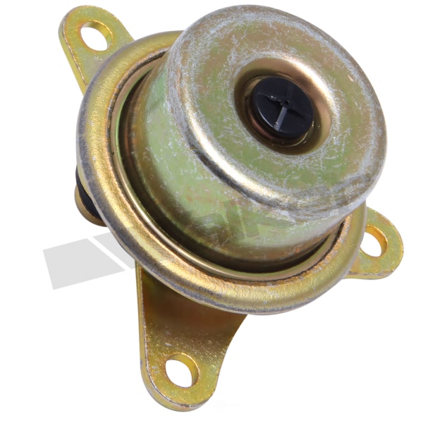 Walker Products Fuel Injection Pressure Regulator 255-1018