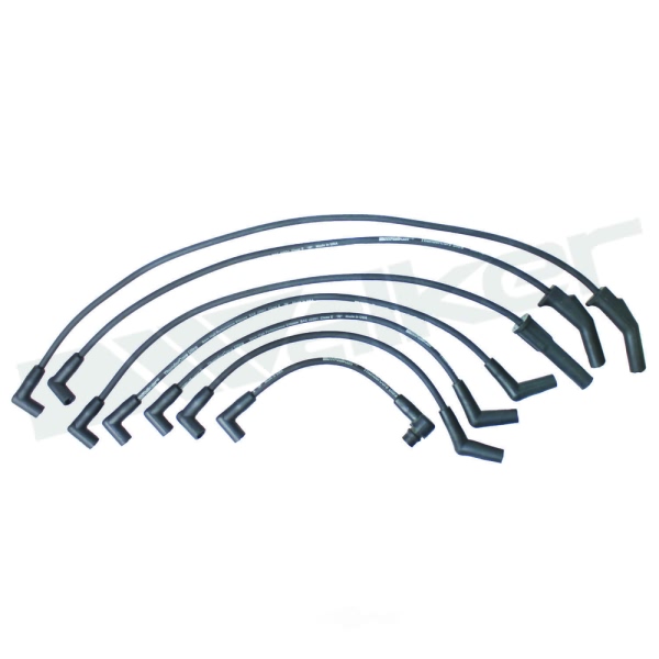 Walker Products Spark Plug Wire Set 924-1602