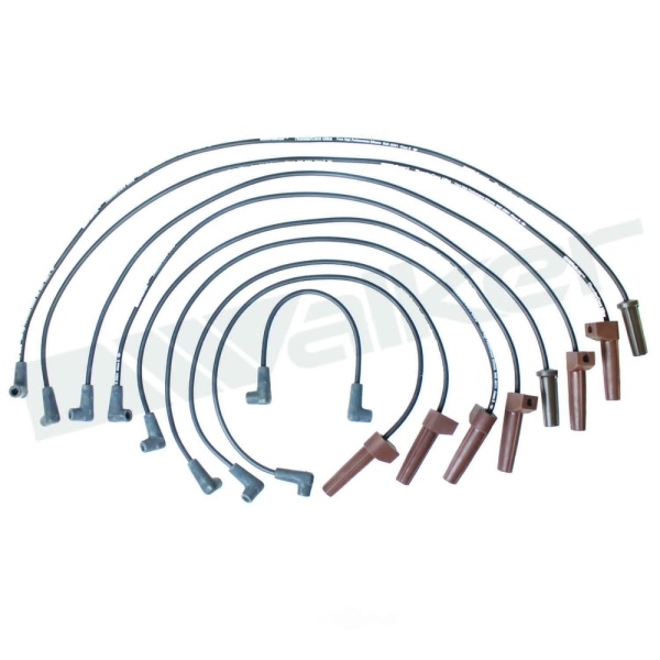 Walker Products Spark Plug Wire Set 924-1428