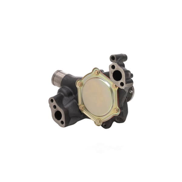 Dayco Engine Coolant Water Pump DP10031