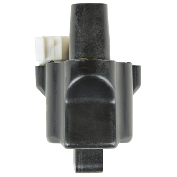 Delphi Ignition Coil GN10391