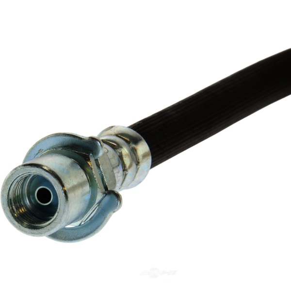 Centric Rear Brake Hose 150.62305