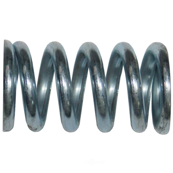 Bosal Exhaust Spring 251-025