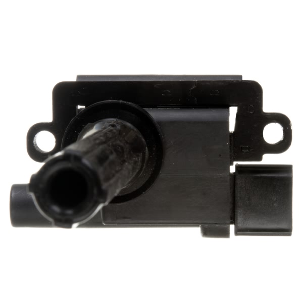 Delphi Ignition Coil GN10302