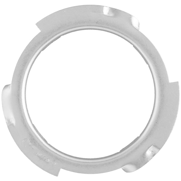 Delphi Fuel Tank Lock Ring FA10009