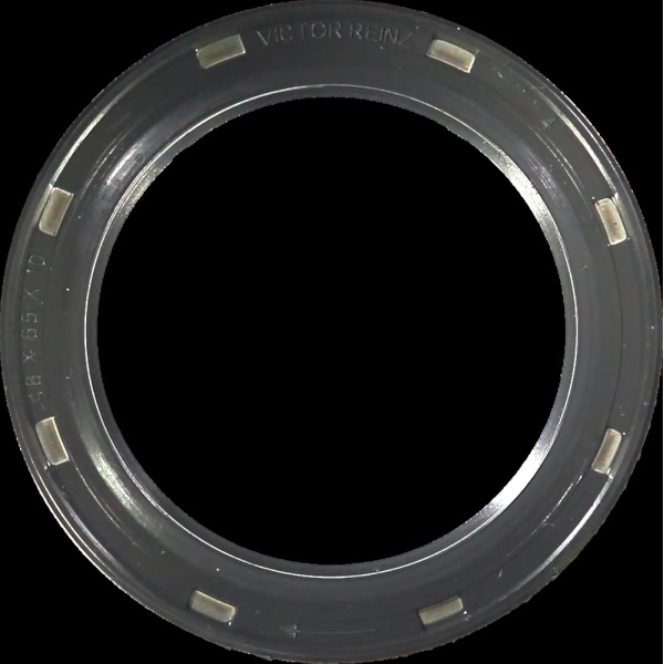 Victor Reinz Crankshaft Seal 81-38031-00