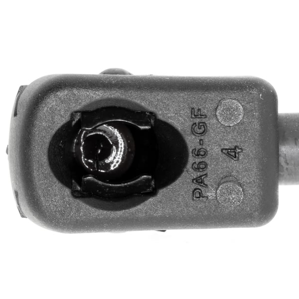 VAICO Liftgate Lift Support V10-1927