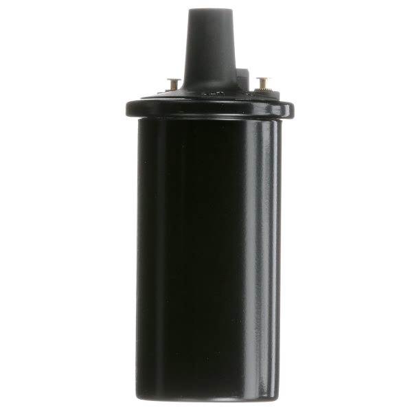 Delphi Ignition Coil GN10273