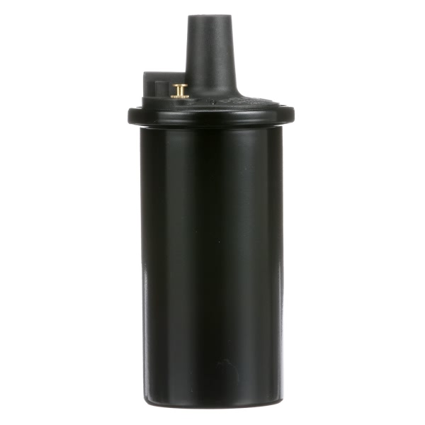 Delphi Ignition Coil GN10273