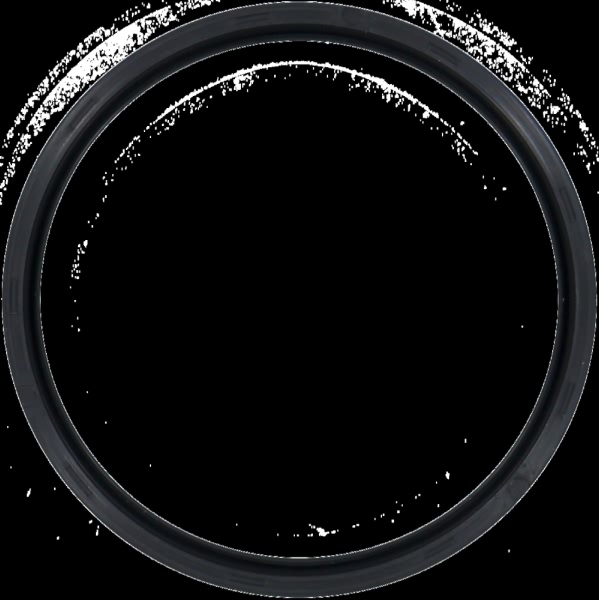 Victor Reinz Crankshaft Seal 81-33633-20