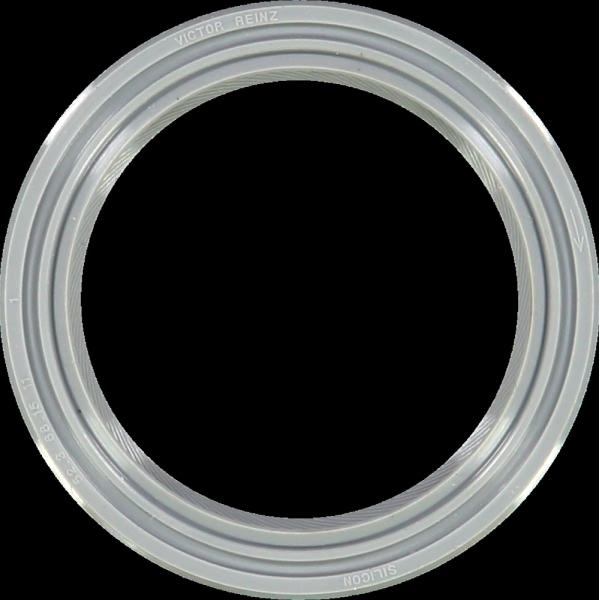 Victor Reinz Crankshaft Seal 81-25587-10