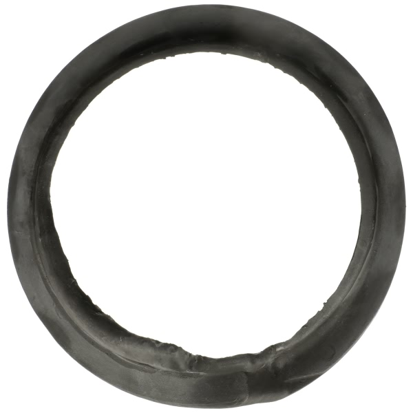 Delphi Front Lower Coil Spring Seat TC6524
