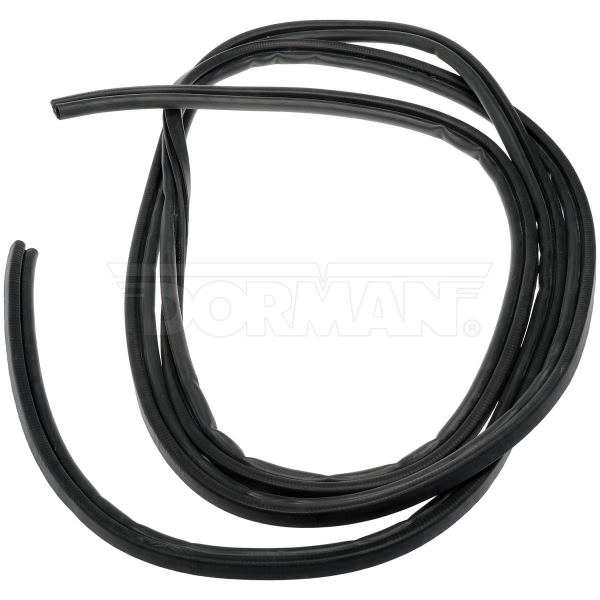 Dorman OE Solutions Passenger Side Door Seal 926-252