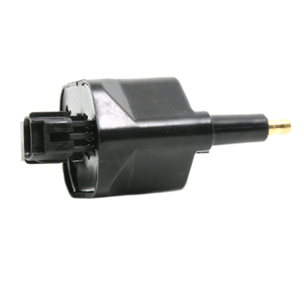 Delphi Ignition Coil GN10174