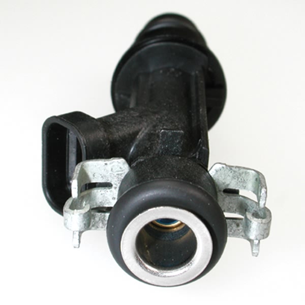 Delphi Fuel Injector FJ10065