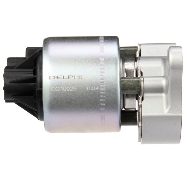 Delphi Linear Egr Valve EG10025