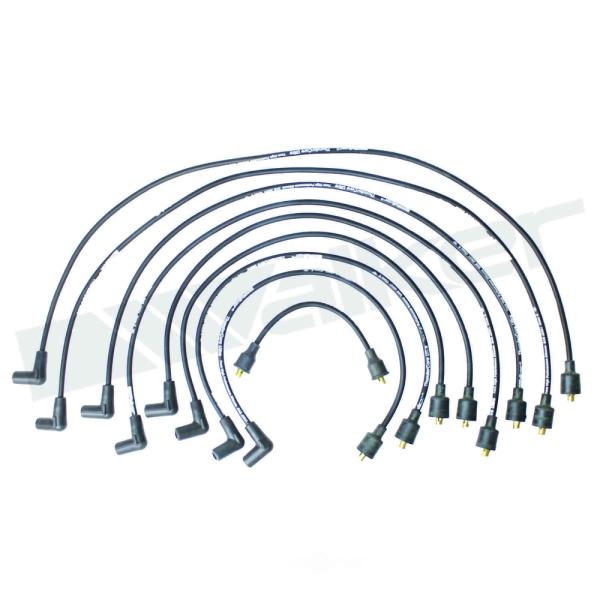 Walker Products Spark Plug Wire Set 924-1597