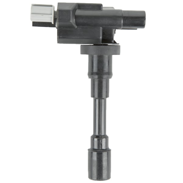 Delphi Ignition Coil GN10390