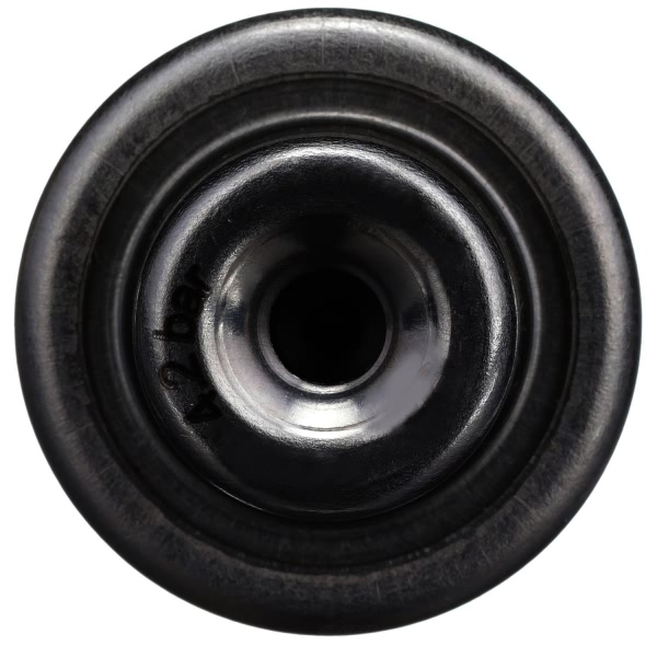 Delphi Fuel Injection Pressure Regulator FP10536