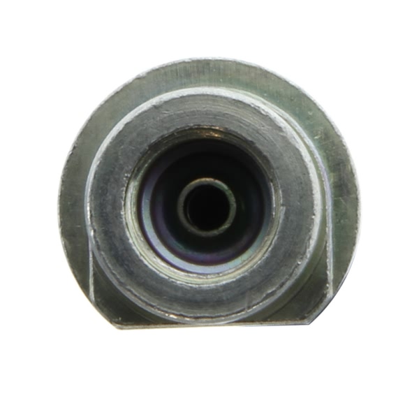 Centric Rear Lower Brake Hose 150.40312