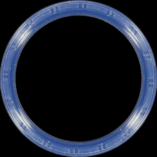 Victor Reinz Rear Old Design Crankshaft Seal 81-53331-00