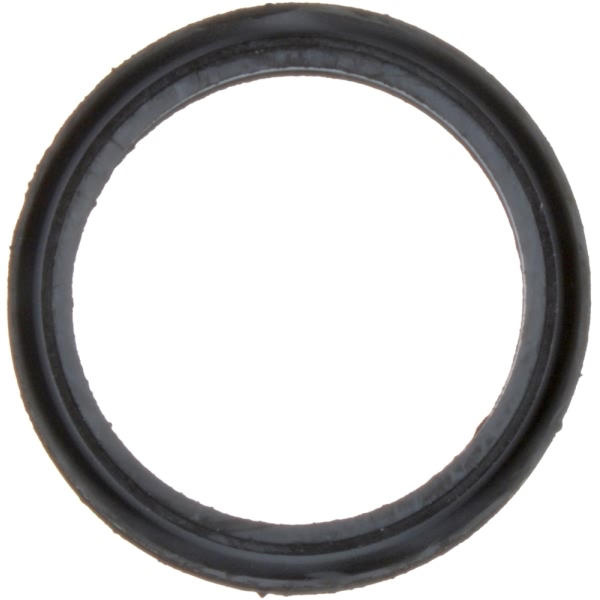 Victor Reinz Egr Valve Gasket 71-13809-00