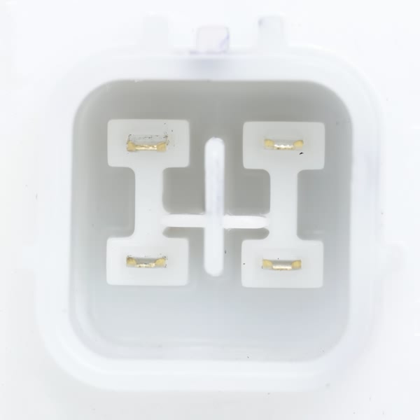 Delphi Fuel Pump Module Assembly FG2335