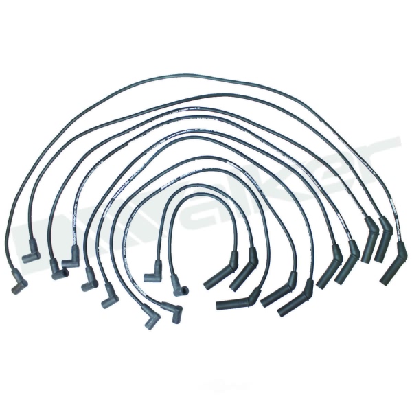 Walker Products Spark Plug Wire Set 924-2024