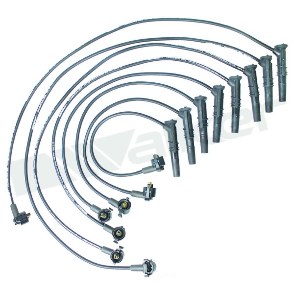 Walker Products Spark Plug Wire Set 924-1402