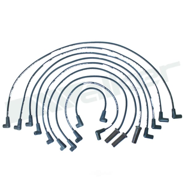 Walker Products Spark Plug Wire Set 924-1422